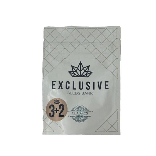 EXCLUSIVE SEEDS CHEESE X CRITIKAL 3+2UDS