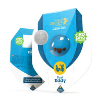 FAST EDDY AUTO CBD X3-ROYAL QUEEN (DS)
