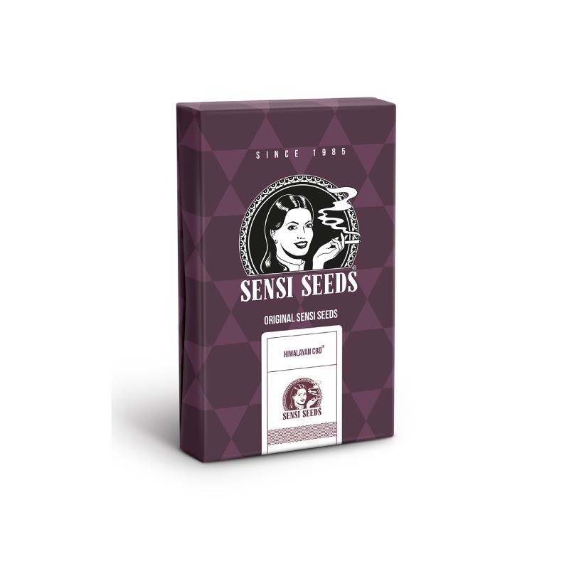 SENSI SEEDS HIMALAYA CBD 3UDS