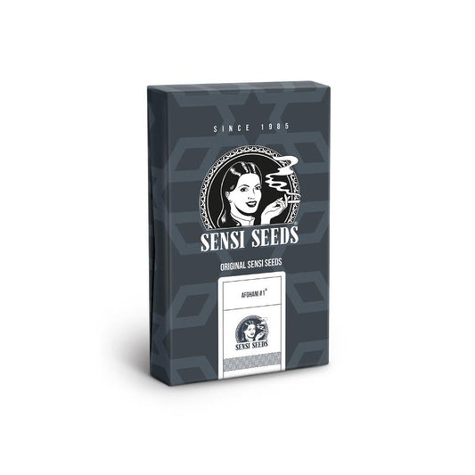 SENSI SEEDS AFGHANI 1 AUTO 3UDS