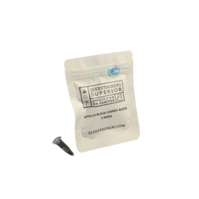 SEEDSTOCKERS APOLLO BLACK CHERRY AUTO 3UDS