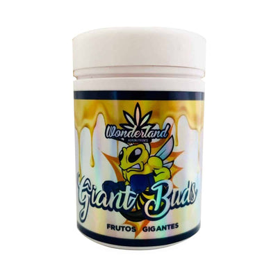 GIANT BUDS ENGORDE PK52-34 120GR-WONDERLAND (DS)