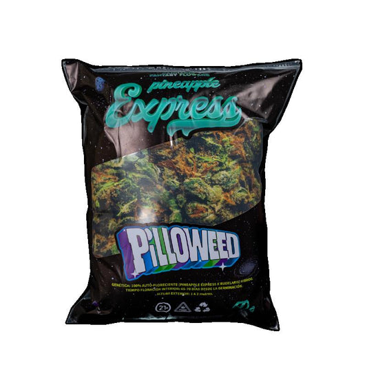 PINEAPPLE TAMAÑO L PILLOWEED