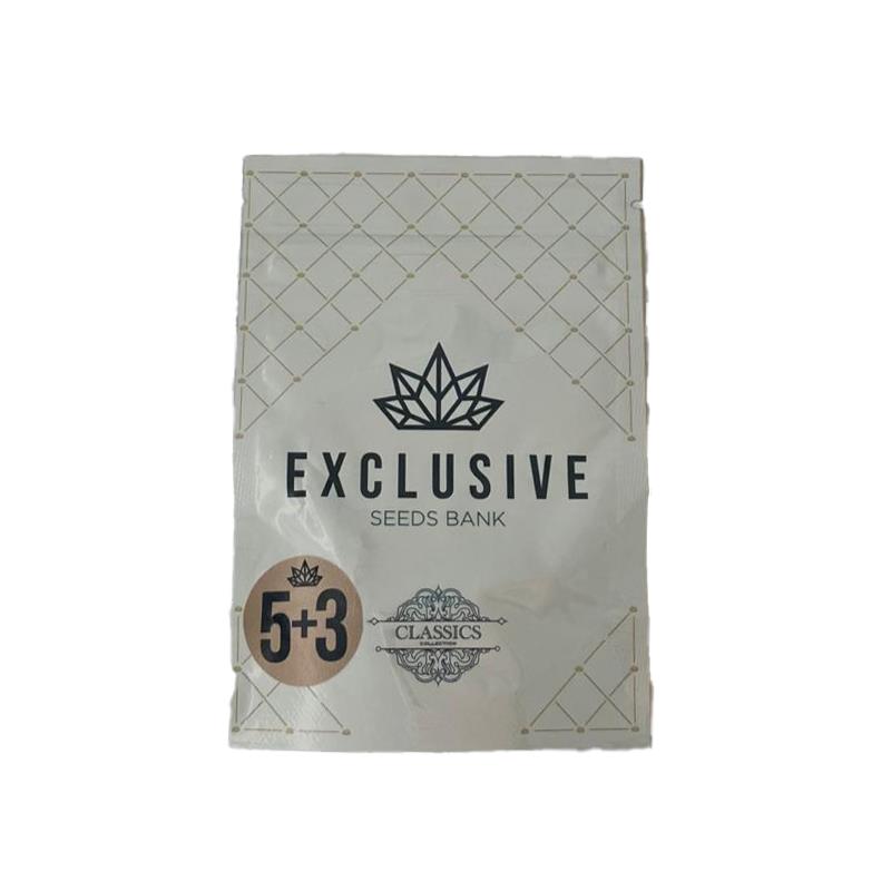 EXCLUSIVE SEEDS AMNESIA 5+3UDS