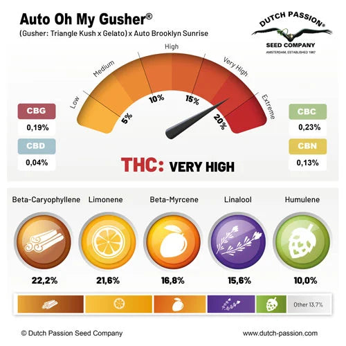 Auto Oh My Gusher