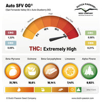 Auto SFV OG
