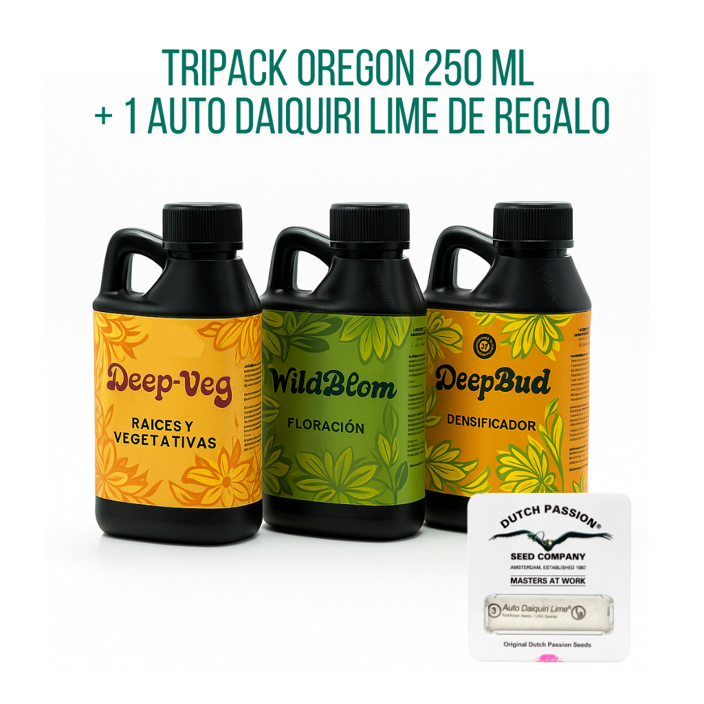 Tripack Oregon 250 ml + Auto daiquiri Lime 1 Semilla