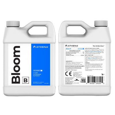 ATHENA BLOOM B 32OZ