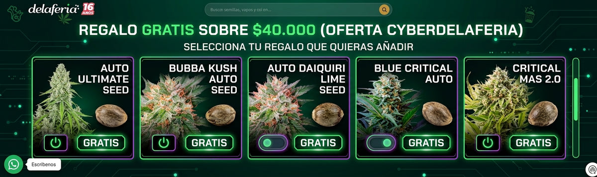 💎 Pipas & Bongs Premium