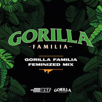 GORILLA FAMILIA GK 12 UDS BSF SEEDS