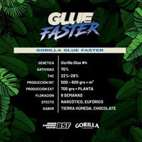 GORILLA GLUE FASTER GK2UDS BSF SEEDS