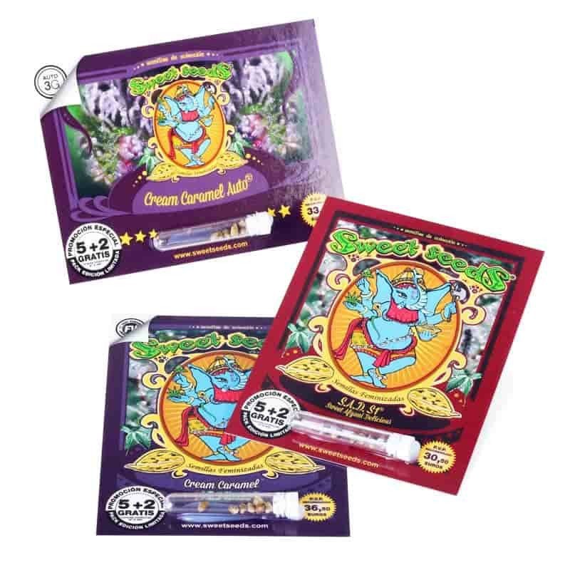 SWEET SEEDS RUNTZ XL AUTO 3+1UDS