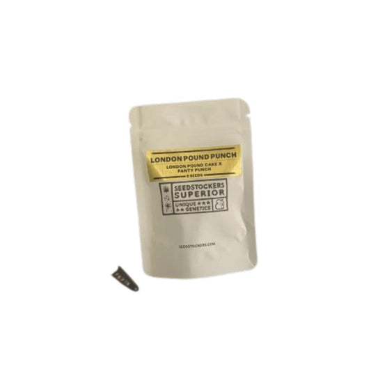 SEEDSTOCKERS LONDON POUND PUNCH 5UDS