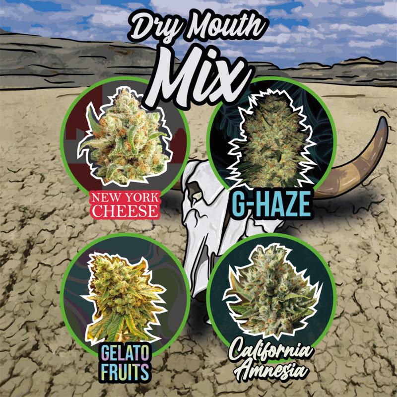 DELIRIUM SEEDS MIX DRY MOUTH LINE AUTO 4UDS