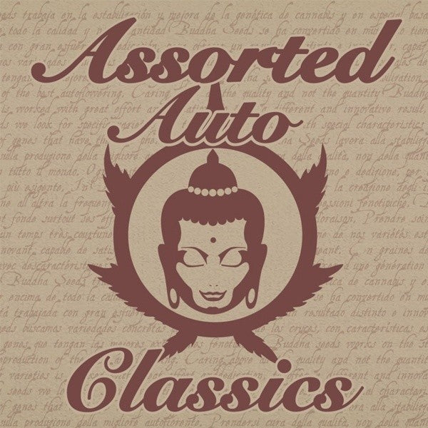 Assorted Auto Classic x 10 semillas