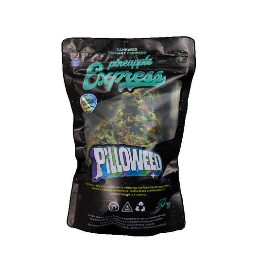 PINEAPPLE TAMAÑO S PILLOWEED