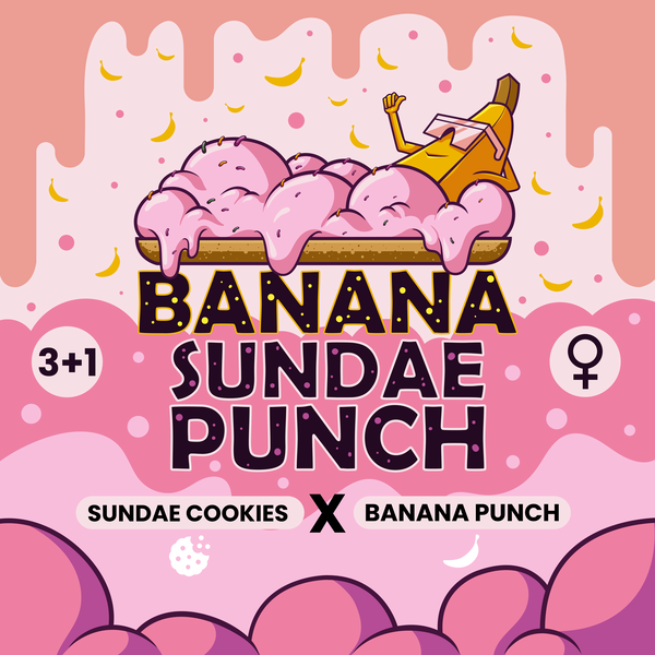 Banana Sundae Punch