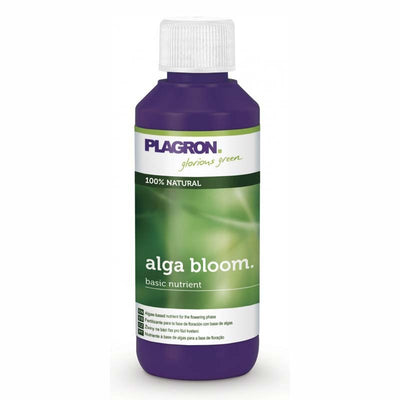 ALGA BLOOM 100ML PLAGRON