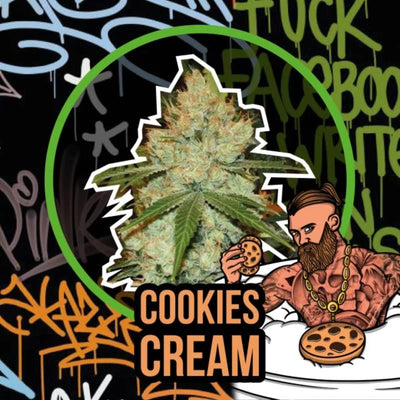 DELIRIUM SEEDS COOKIES CREAM FAST 1UD