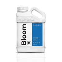BLOOM A+B 1GAL ATHENA