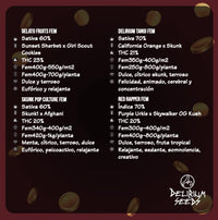 DELIRIUM SEEDS MIX VEGAS RUSH 4UDS
