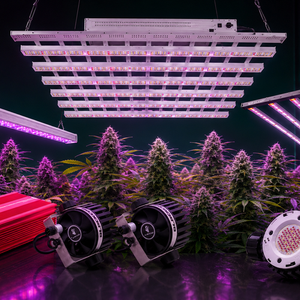 Luces LED Indoor