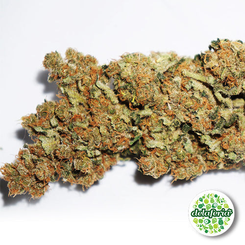 CBD Skunk Haze