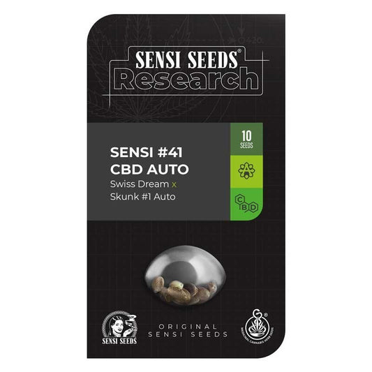 SENSI SEEDS R 41 CBD SWISS DREAM X SKUNK 1 AUT 3UD