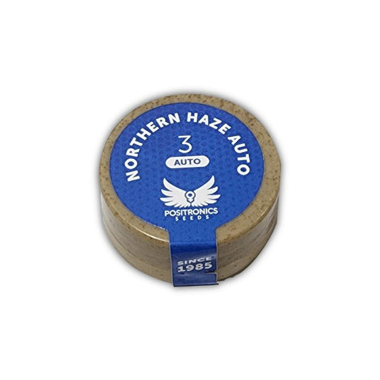 POSITRONICS NORTHERN HAZE AUTO 3UDS