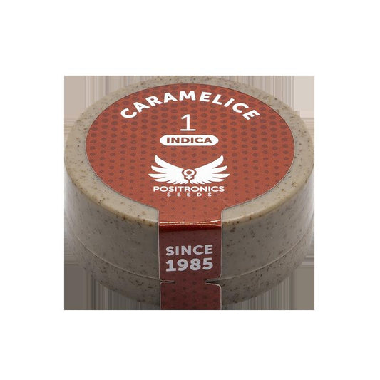 POSITRONICS CARAMELICE 1UD