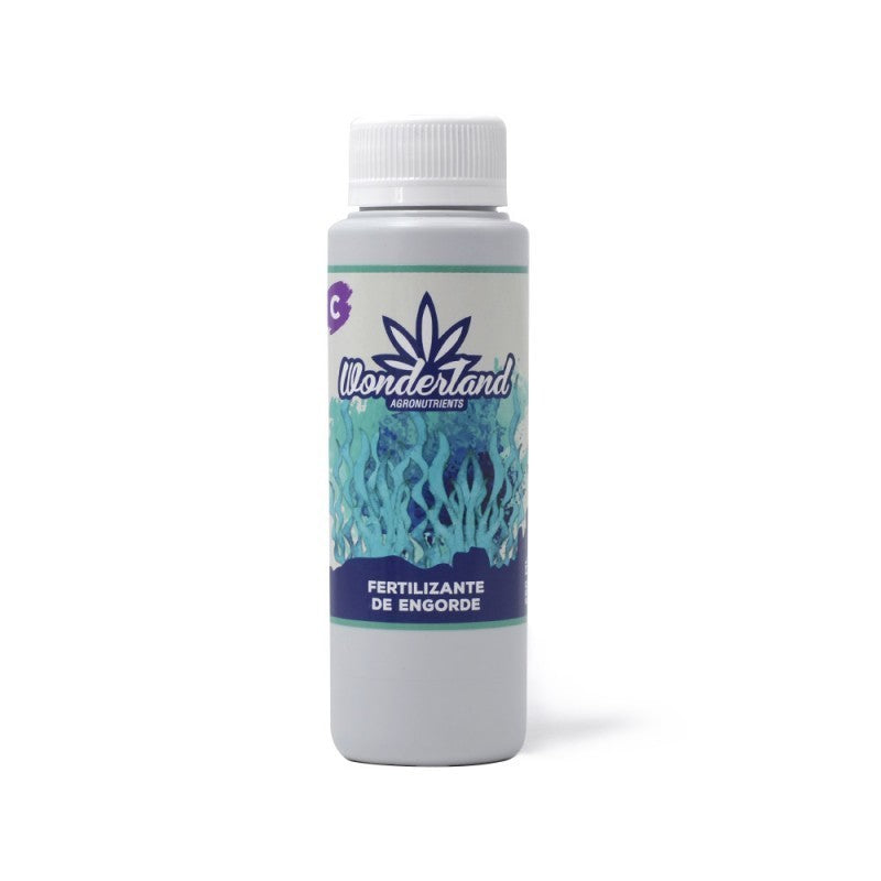 ENGORDE C 250ML WONDERLAND