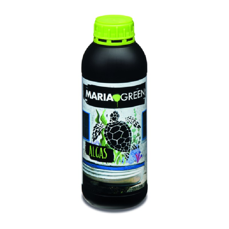 ALGAX 1L MARIA GREEN