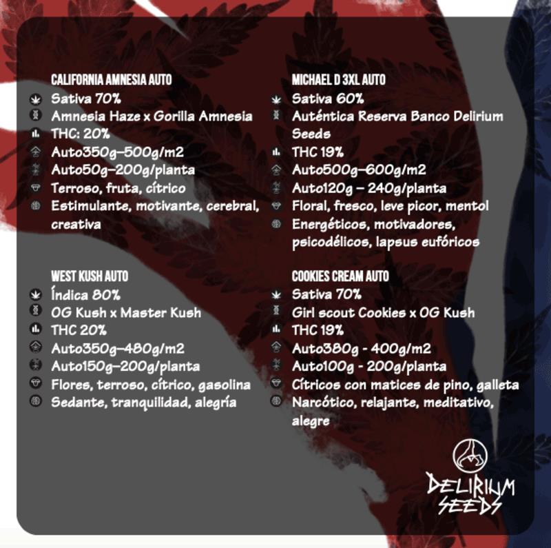 DELIRIUM SEEDS MIX HOLLYWOOD VIBE AUTO 4UDS
