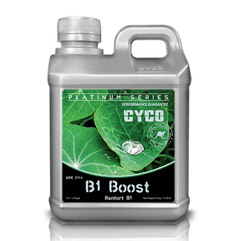 B1 BOOST 1L CYCO