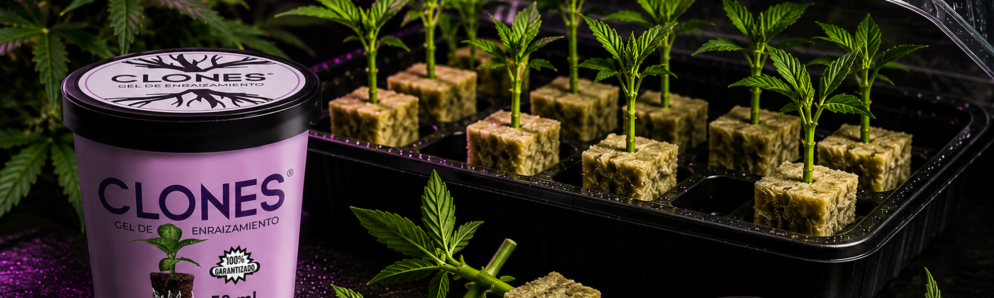 🌿 Cloná tus mejores plantas