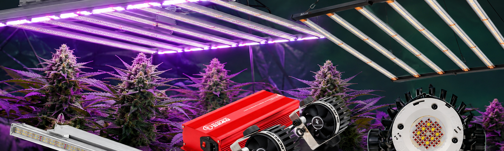 ⚡ LEDs — todas las marcas