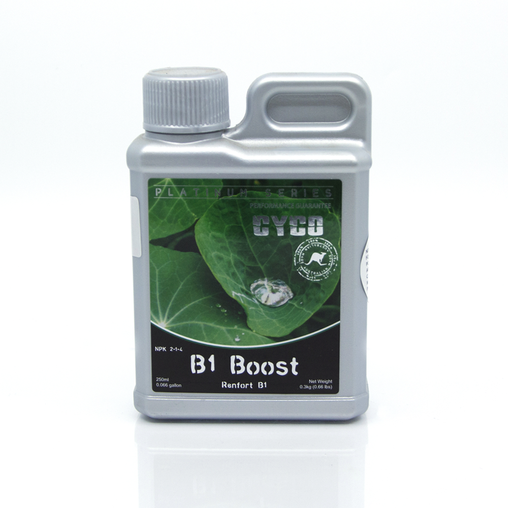 B1 Boost 250ml