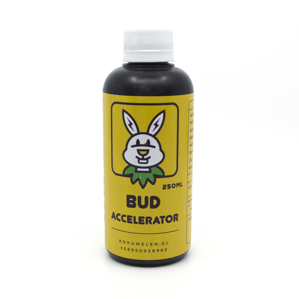 Bud Accelerator