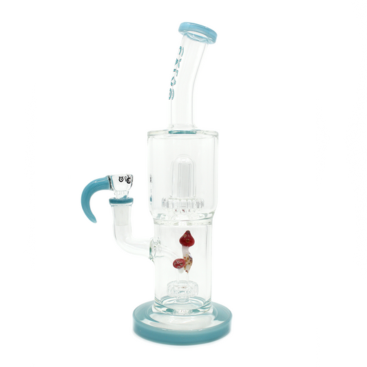 Bong Calvo Psilocibes