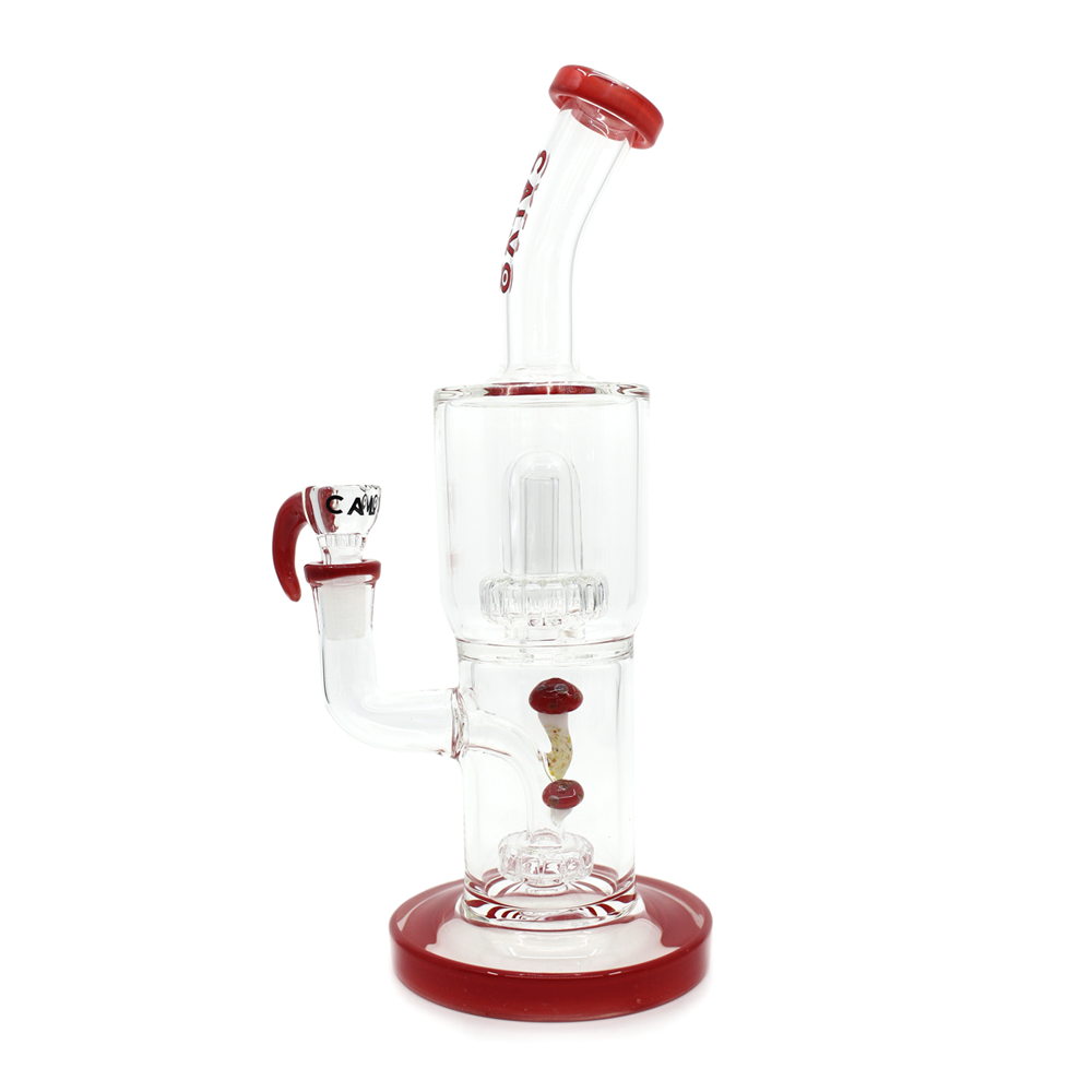 Bong Calvo Psilocibes