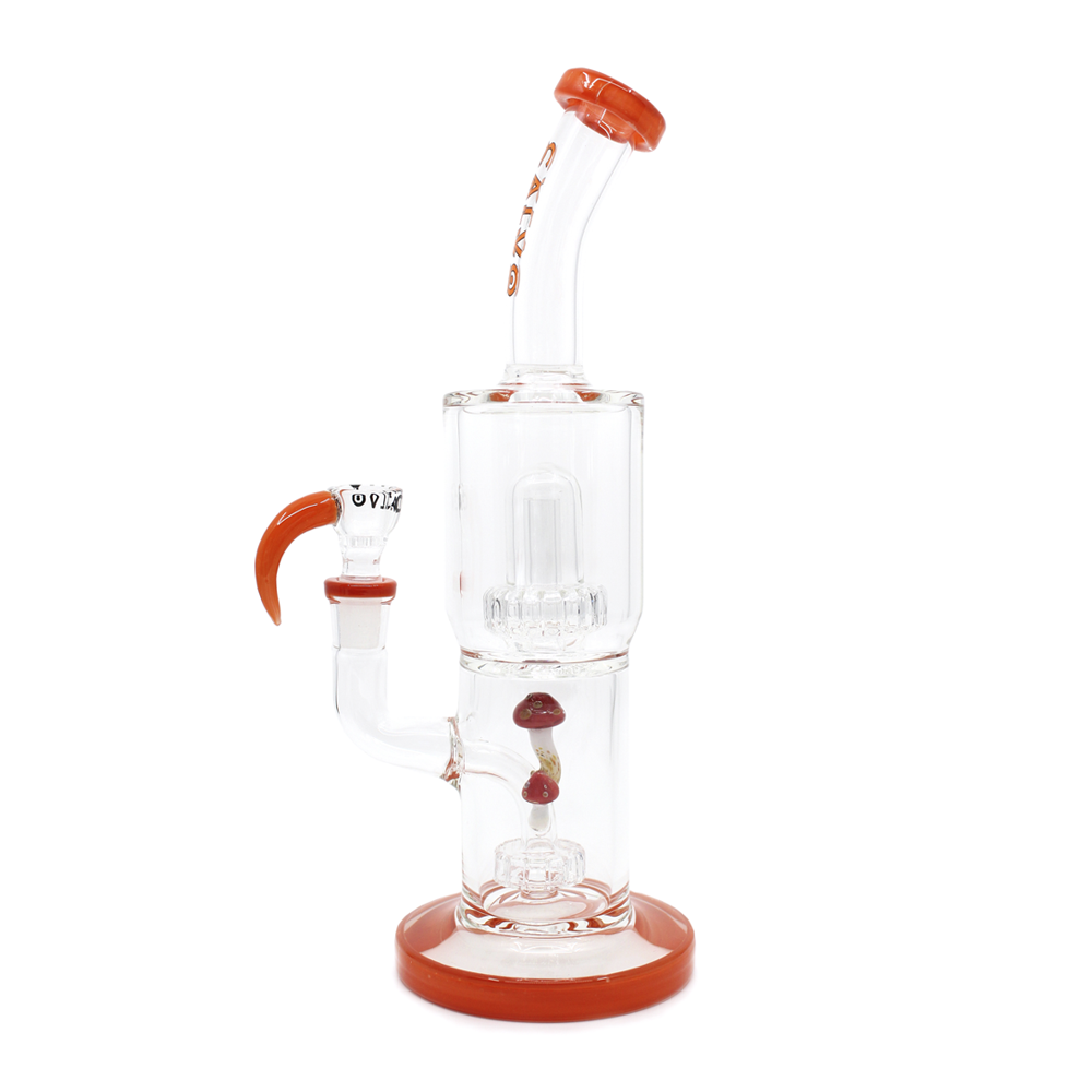 Bong Calvo Psilocibes