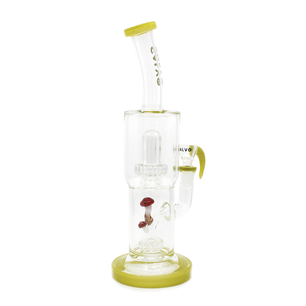 Bong Calvo Psilocibes