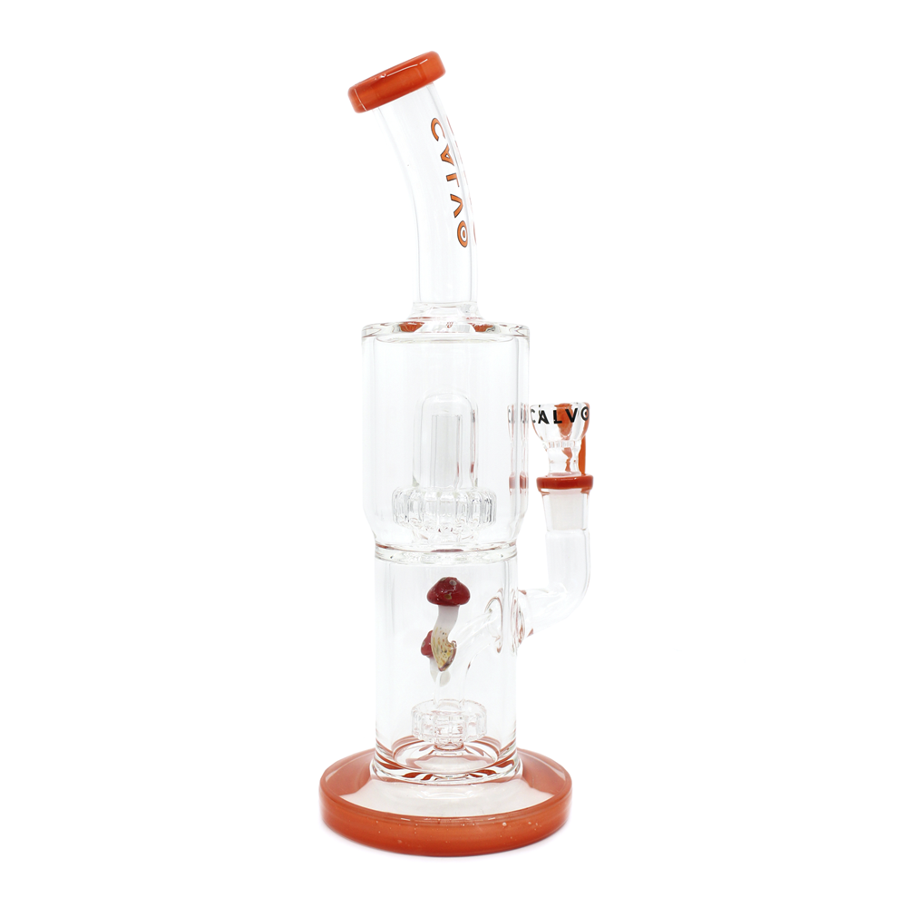 Bong Calvo Psilocibes