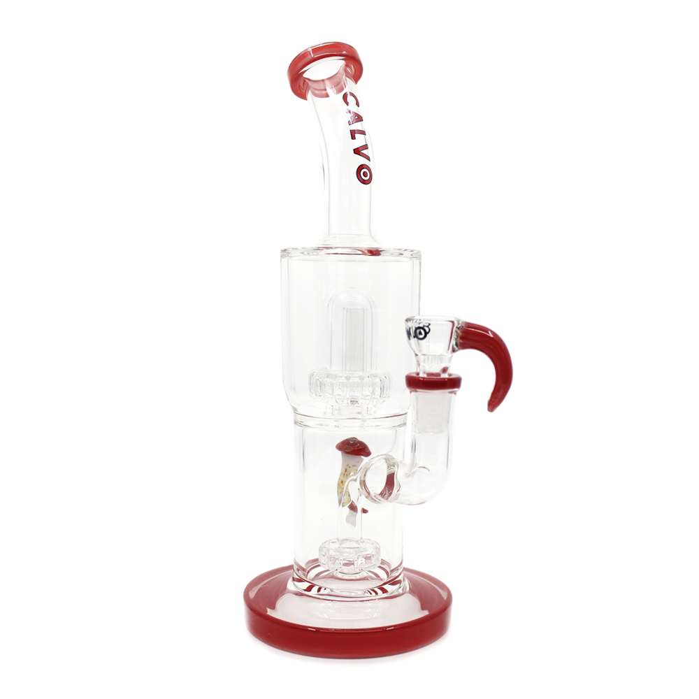 Bong Calvo Psilocibes