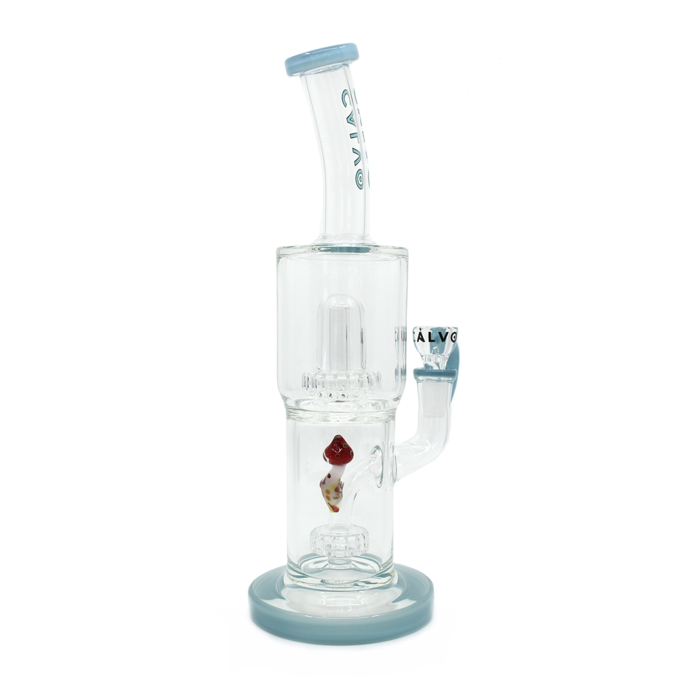 Bong Calvo Psilocibes