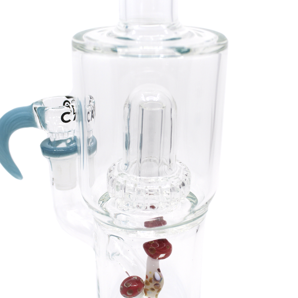 Bong Calvo Psilocibes