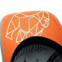 Cap Baseball Gris
