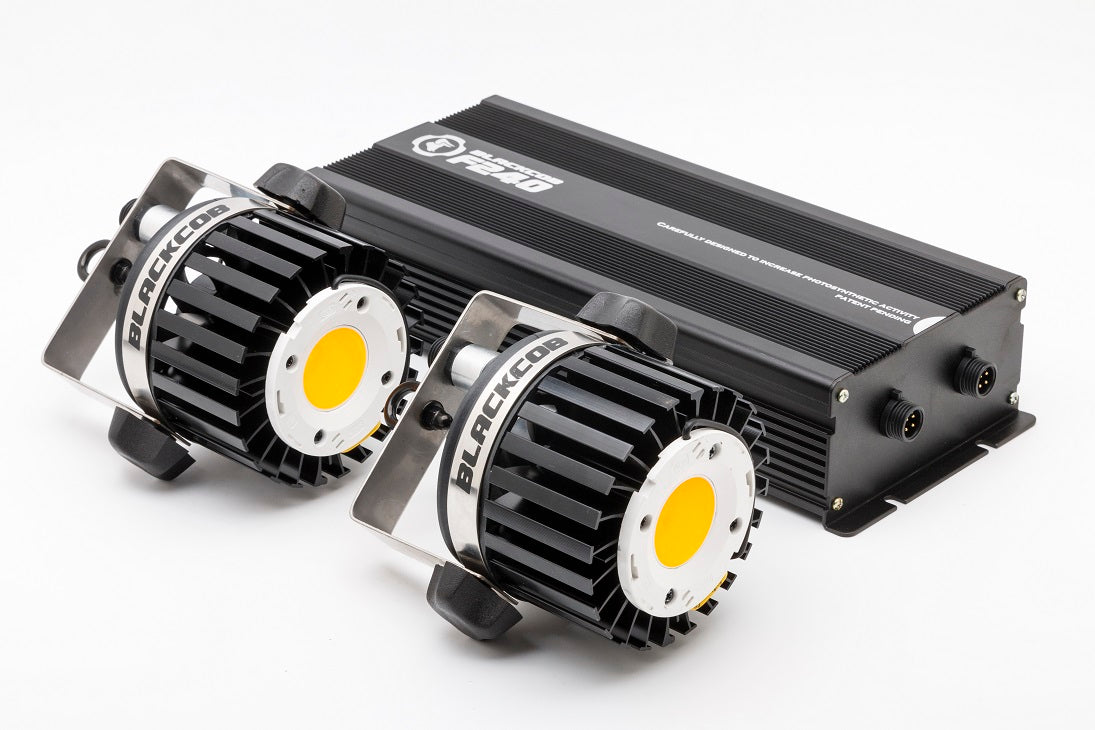 Led Blackcob F240