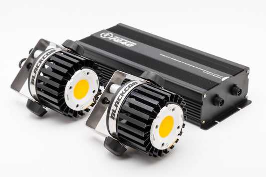 Led Blackcob F240