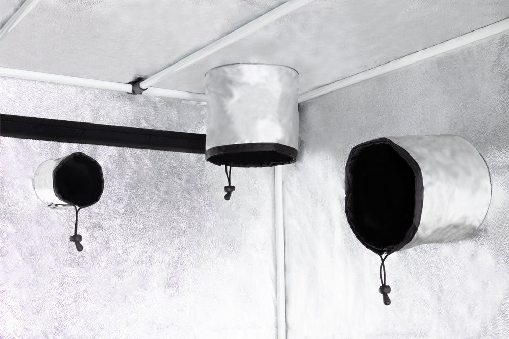 Carpa Pro Box Basic 60x60x160cm.